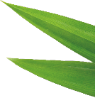 category-rightBG