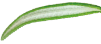 category-rightBG