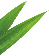 category-rightBG