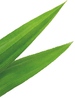 left_center_icon_bg