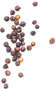 top_icon_bg